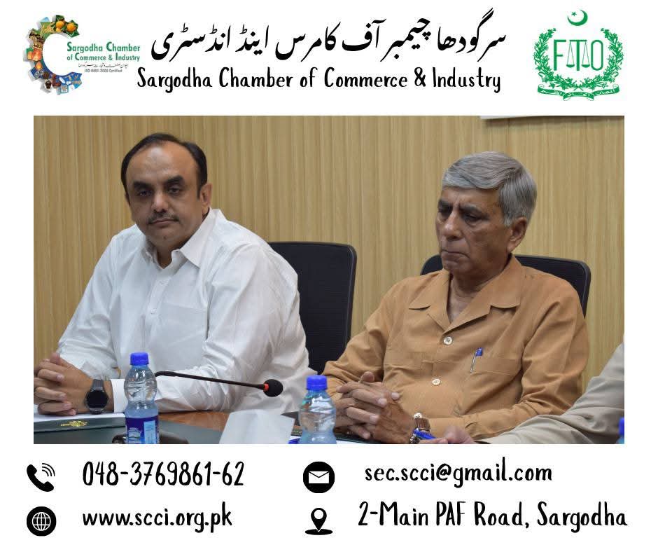 1788584777_WhatsApp Image 2026-09-05 at 10.01.53 AM (1).jpeg